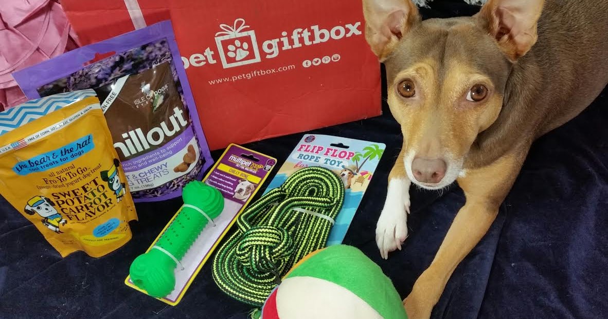 The Bear And The Rat Dog Treats Review The Bear And The Rat Dog Treats Review