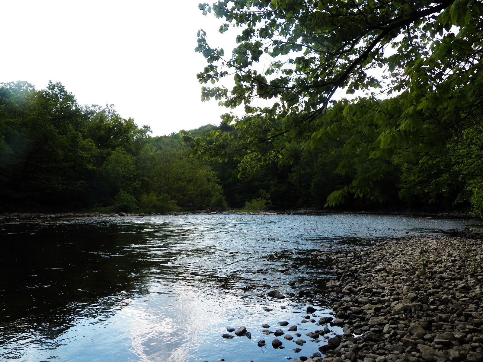 Connecticut Fly Angler Housatonic River