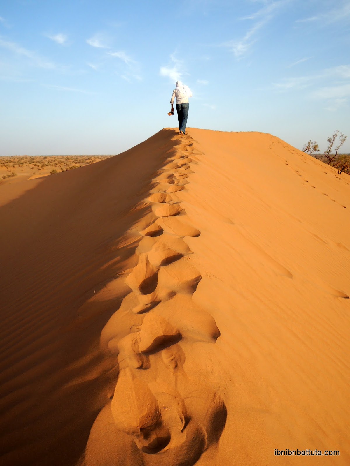 Sahara desert (Mhamid, Morocco)