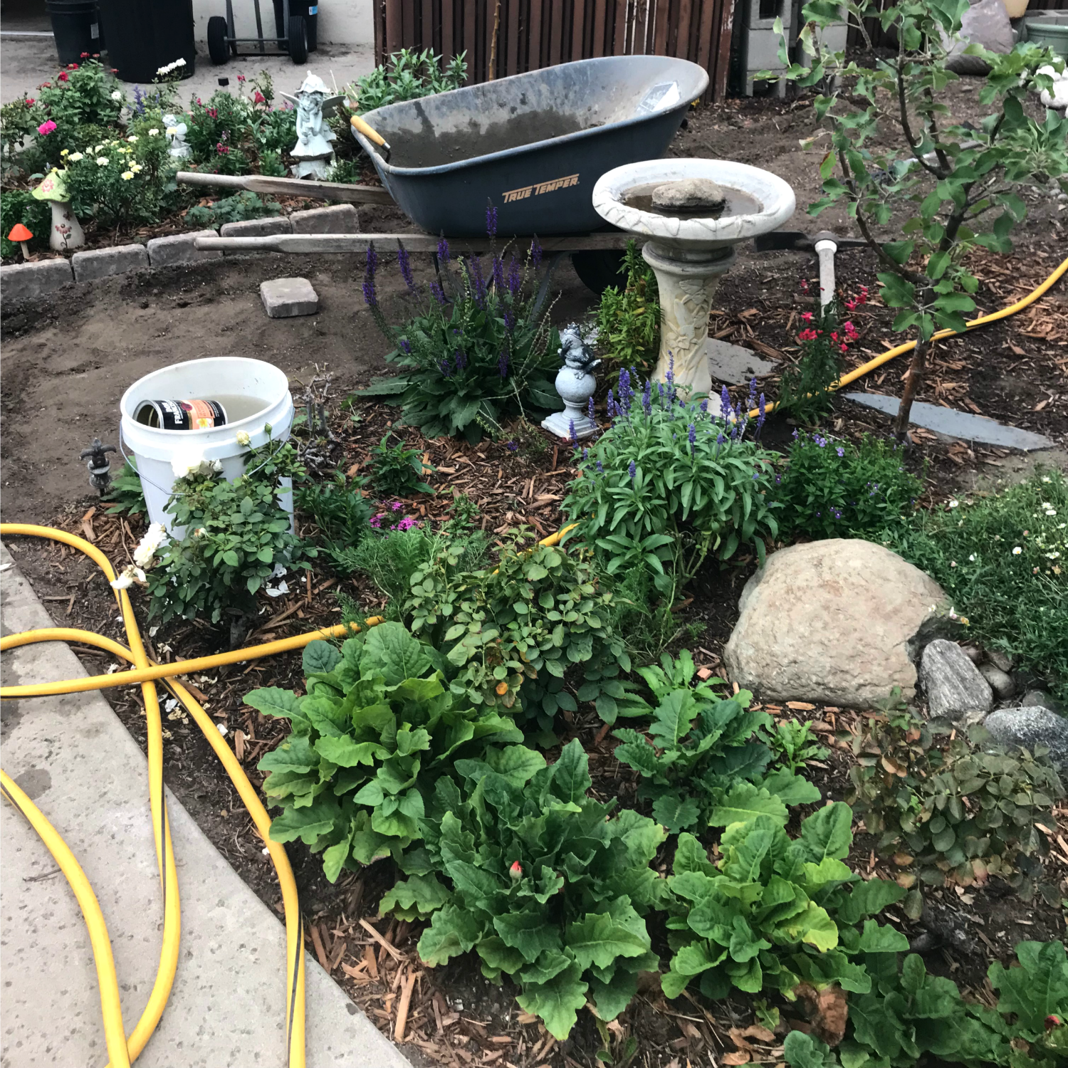 2018 Lemon Lane Cottage