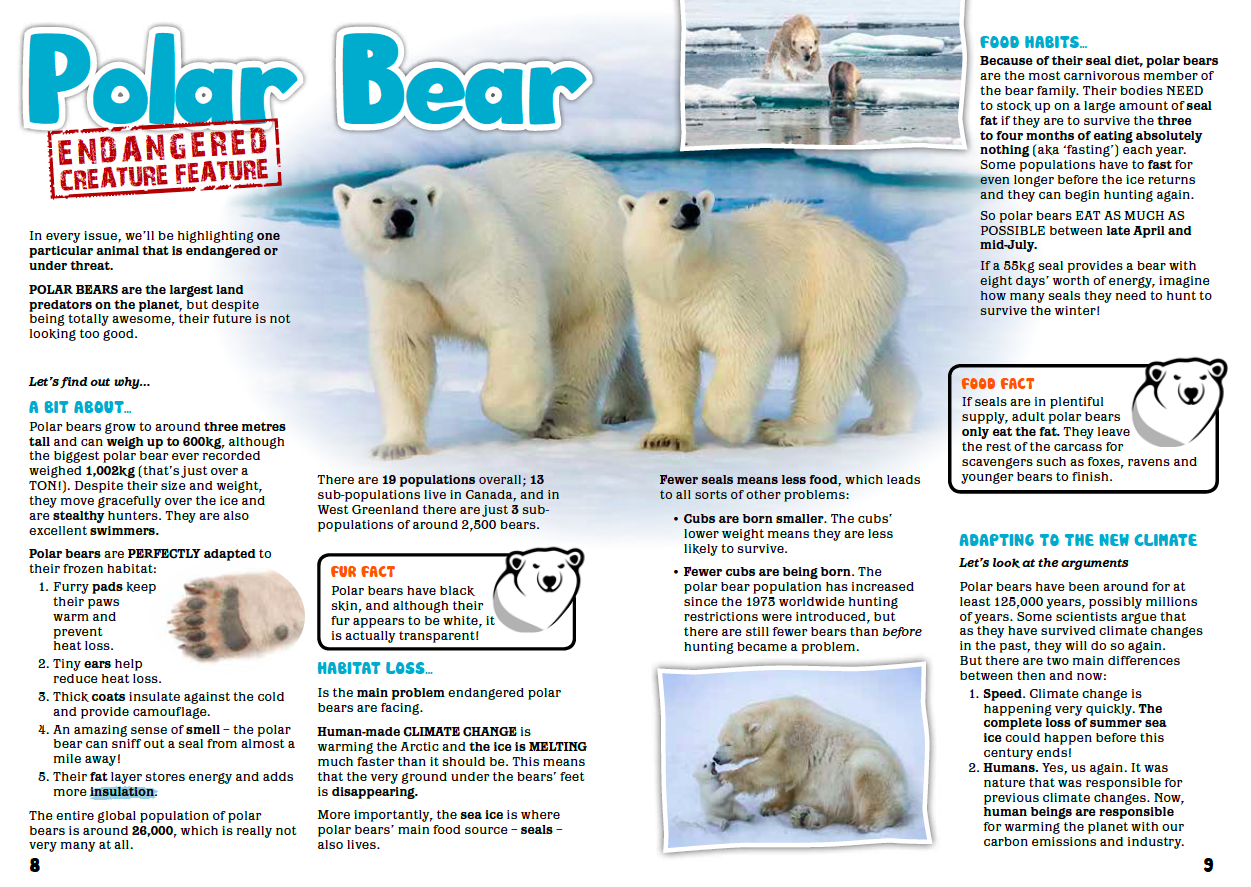 Under bear перевод. Polar Bear фирма. Endangered Polar Bear. Белый медведь максимальный размер. Буклет о белом медведе.