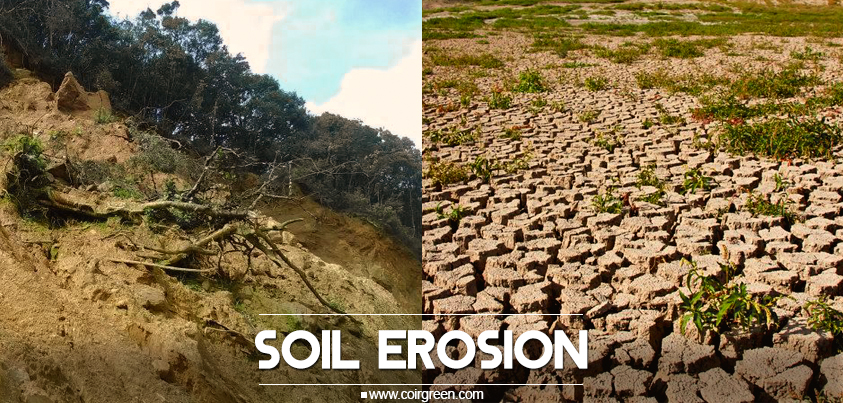 CoirGreen Www coirgreen Poor Quality Soil Can Lead To Harmful Impact Stop Erosion Now