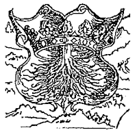 origine image : https://hu.wikipedia.org/wiki/Brass%C3%B3_c%C3%ADmere