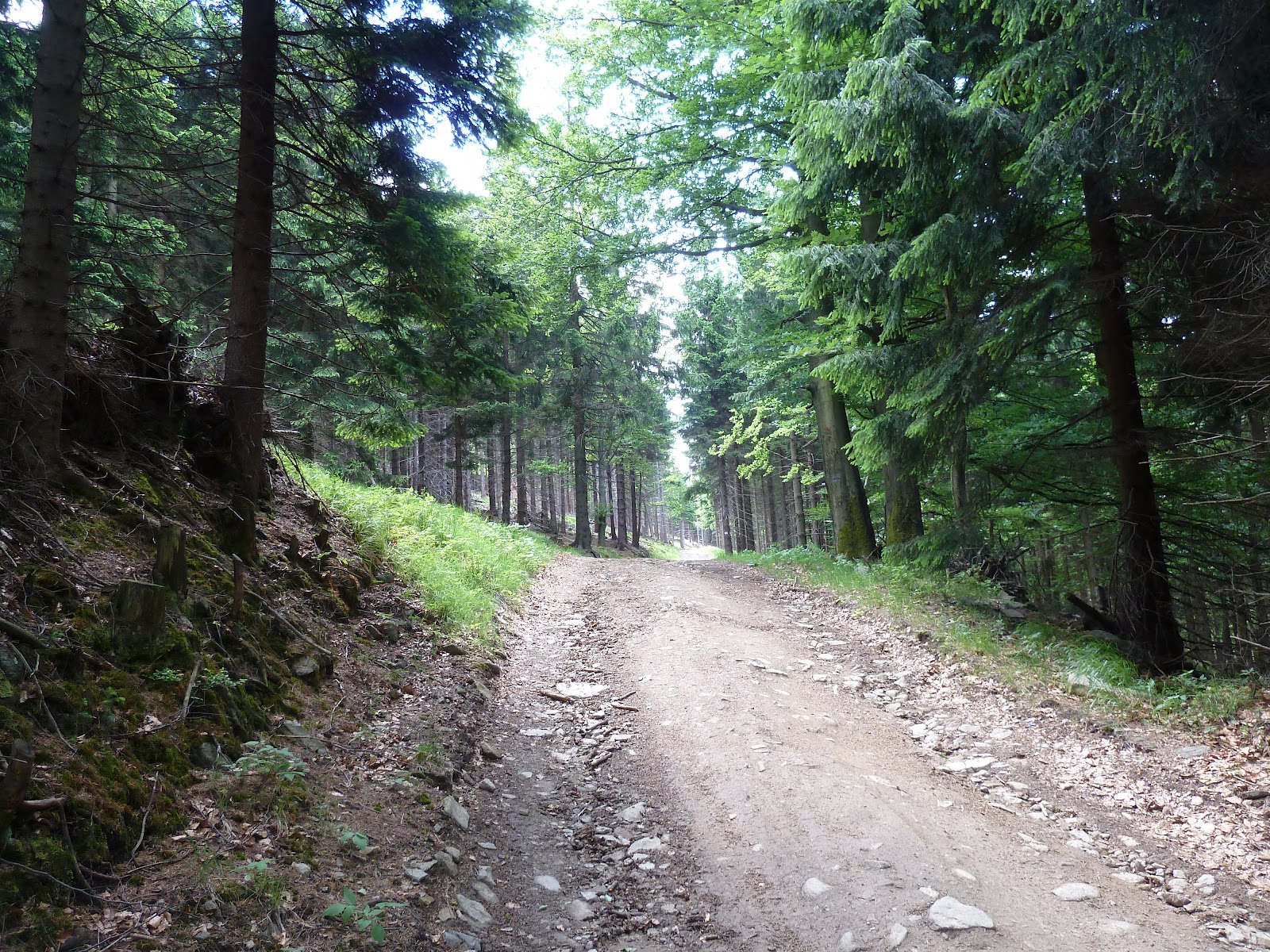 Moje dolnośląskie obrazy Rymarz (Góry Sowie)
