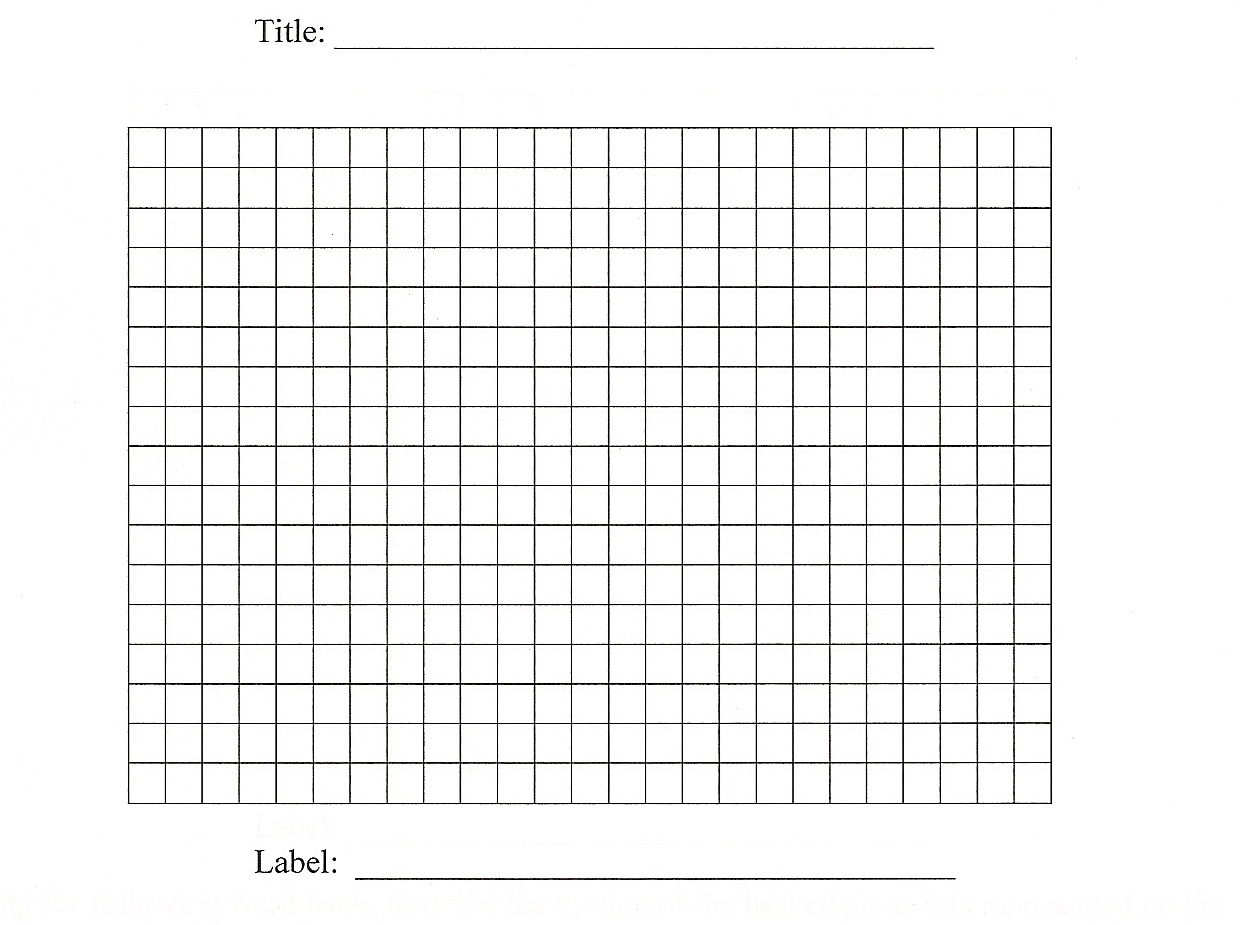 Bag Zebra Pictures: Bar Graph Printable Worksheets