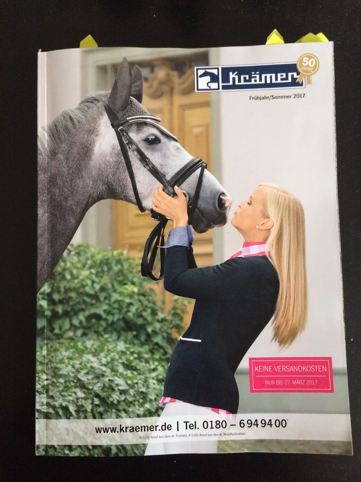 Lieblingspferd: Ein Ausritt mit Sturmfrisur und neuen Freunden + der