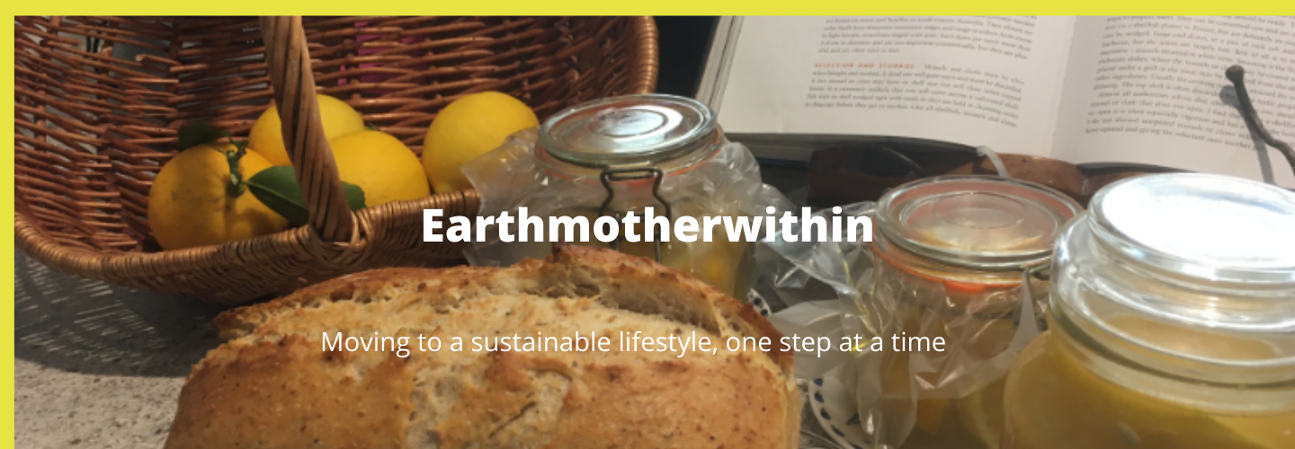 earthmotherwithin