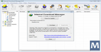 Internet Download Manager (IDM) v 6.23 Build 19