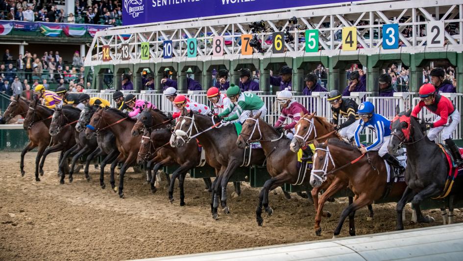 Breeders' Cup race start Breeders' Cup race start