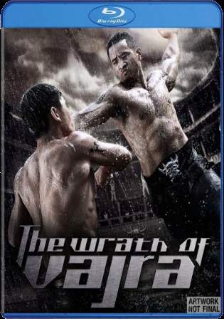 The Wrath of Vajra 2013 BluRay 350MB Hindi Dual Audio 480p