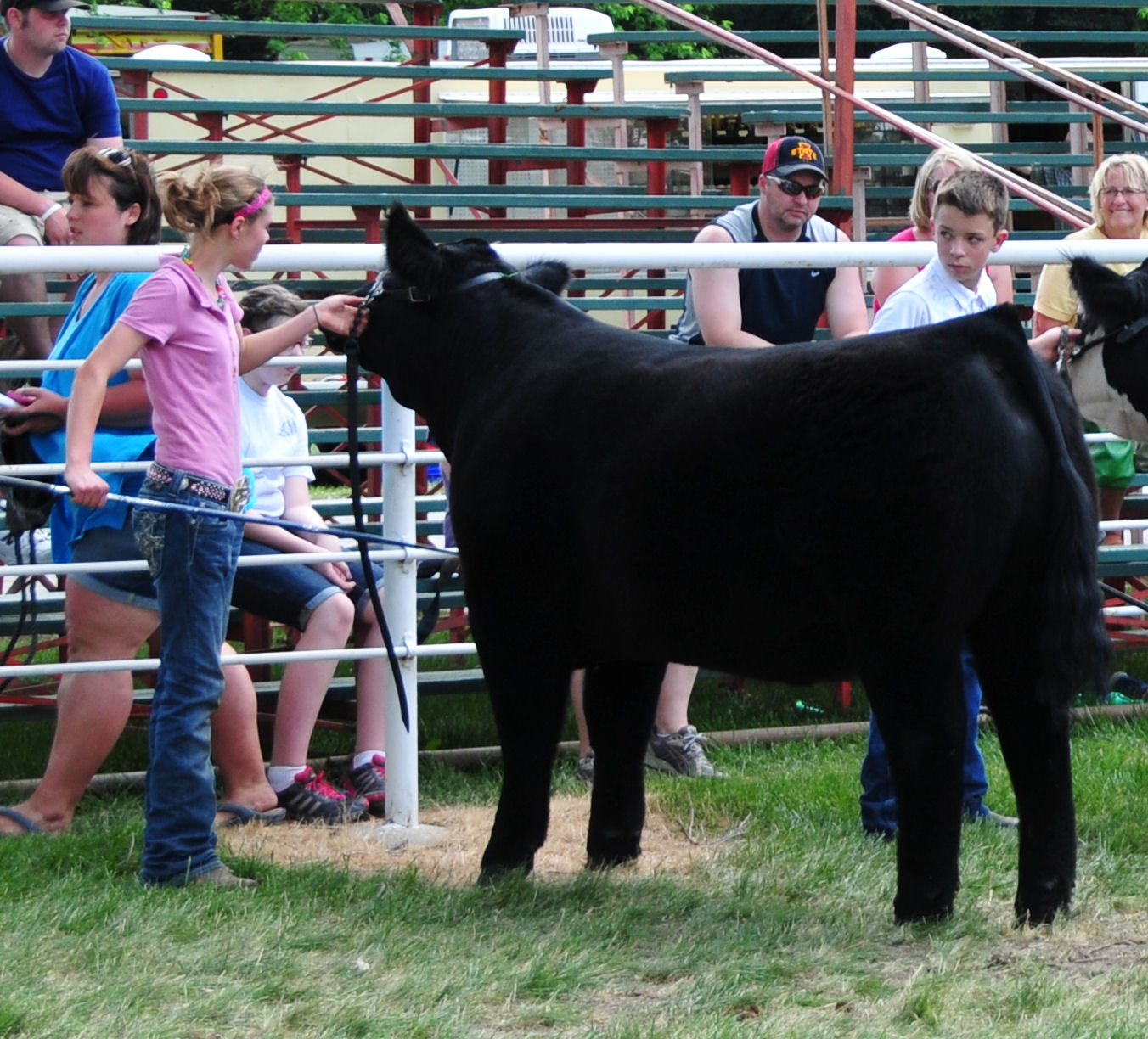 Trausch Farms Cass County Fair, Atlantic, Iowa