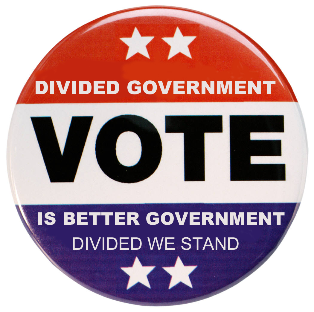Divided we govern thesis