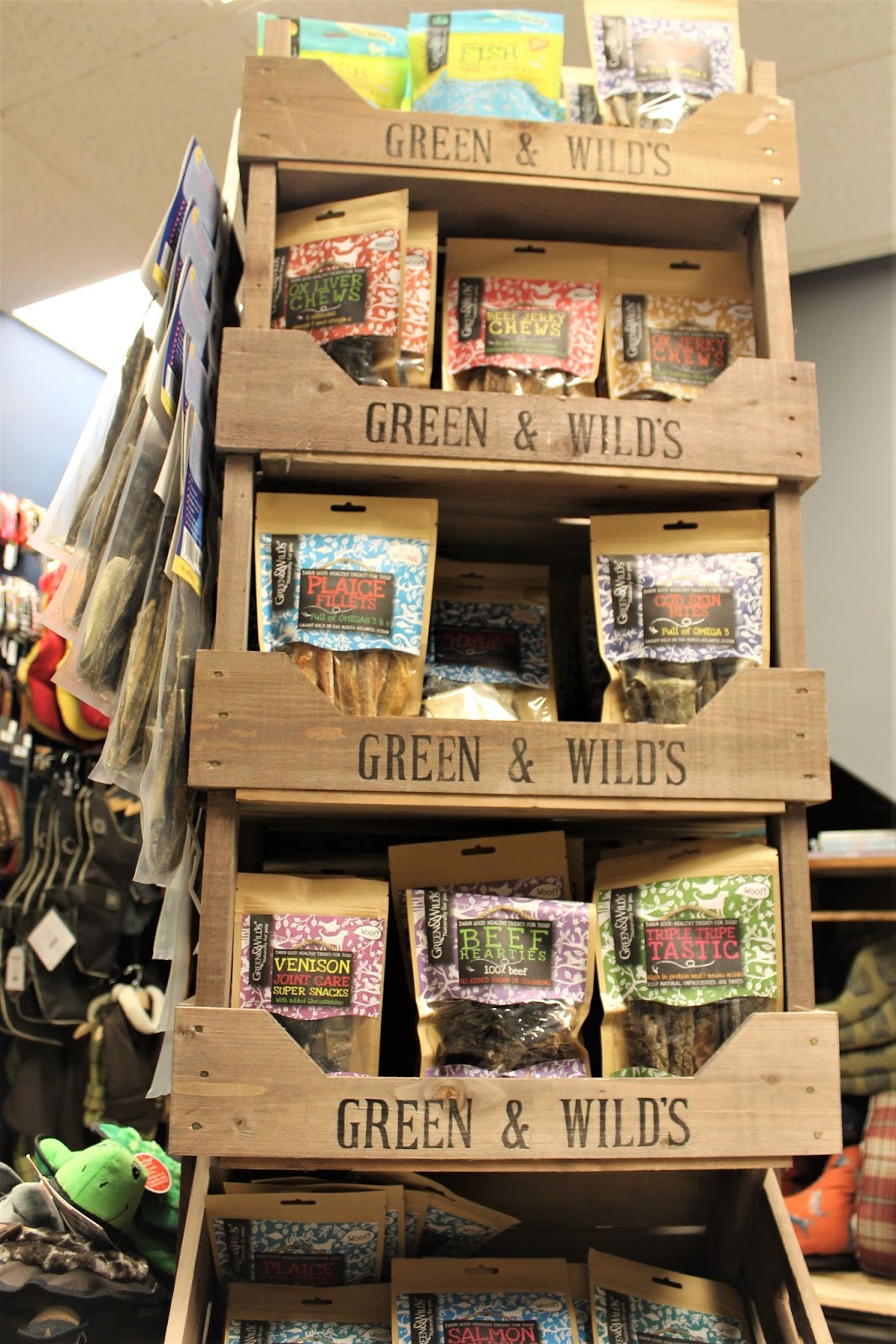 Hounds NewcastleUnderLyme Staffordshire Paws across Britain