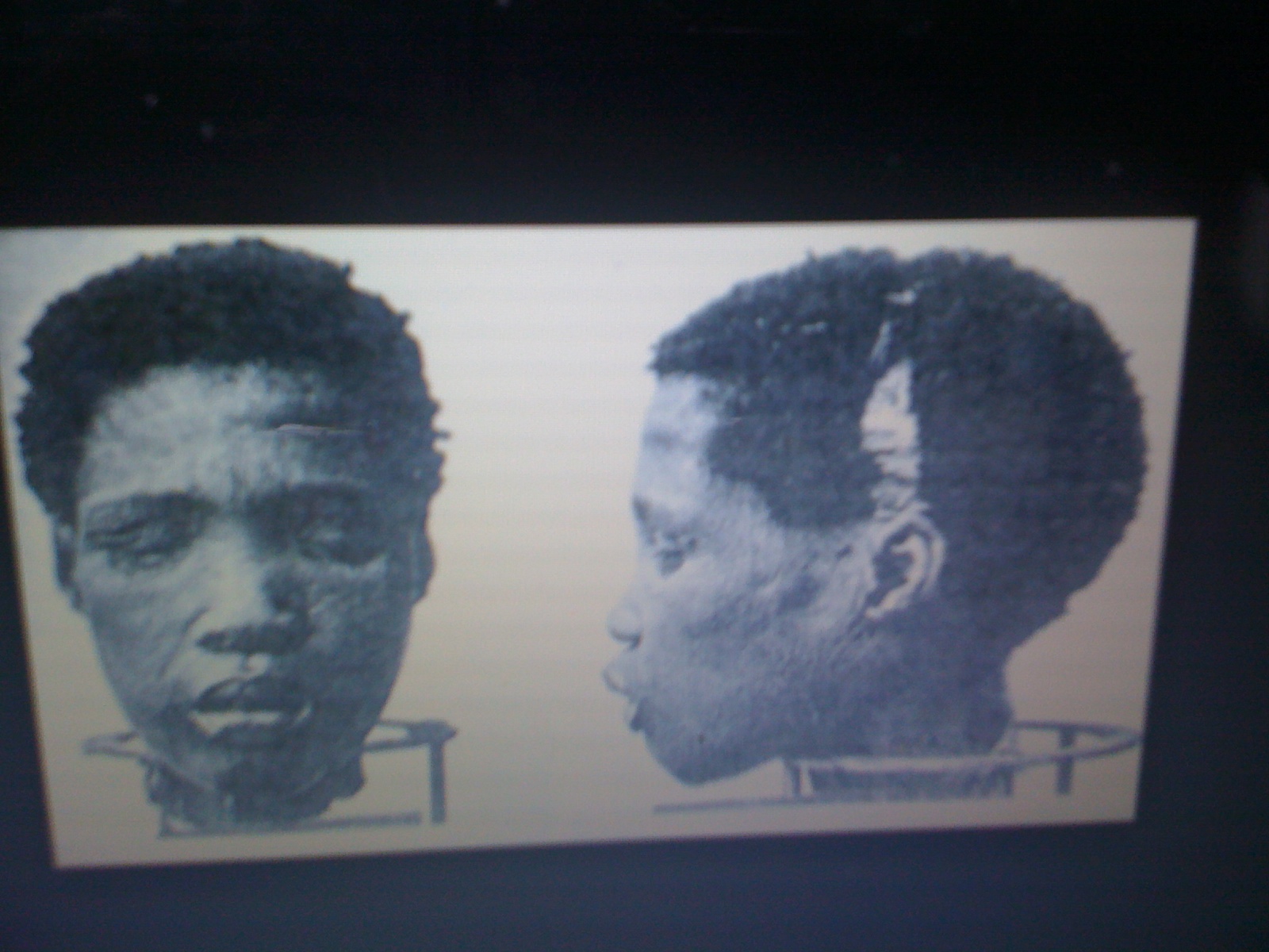 Heretic Rebel A Thing To Flout Frying A Child Who Was Innocent