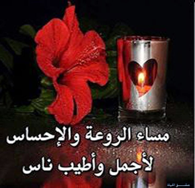 صور وعبارات مساء الخير رائعة نجوم سورية