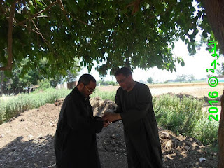 الحسينى محمد , الخوجة, بركة السبع,المنوفية,التعليم,المعلمين,فوائد أكل التوت,التوت,العلاج الطبيعى الحسينى محمد , الخوجة, بركة السبع,المنوفية,التعليم,المعلمين,فوائد أكل التوت,التوت,العلاج الطبيعى
