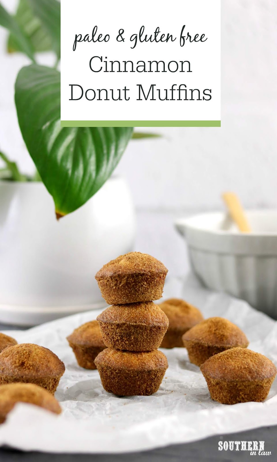 Southern In Law Recipe Paleo Cinnamon Donut Muffins