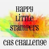 HLS - CAS challenge