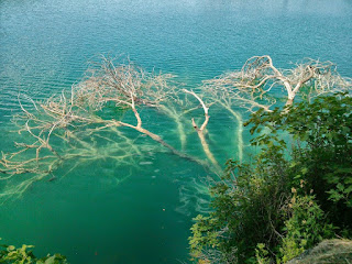 Guía para perplejos. Por Santiago Tracón