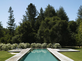 The Designer's Muse: Pools to Dive For