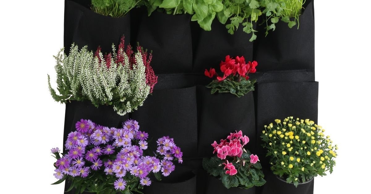 Hängenden Kräutergarten selber machen: überraschend einfache Ideen und