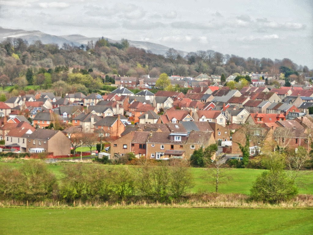 My Daily Walk Cambusbarron