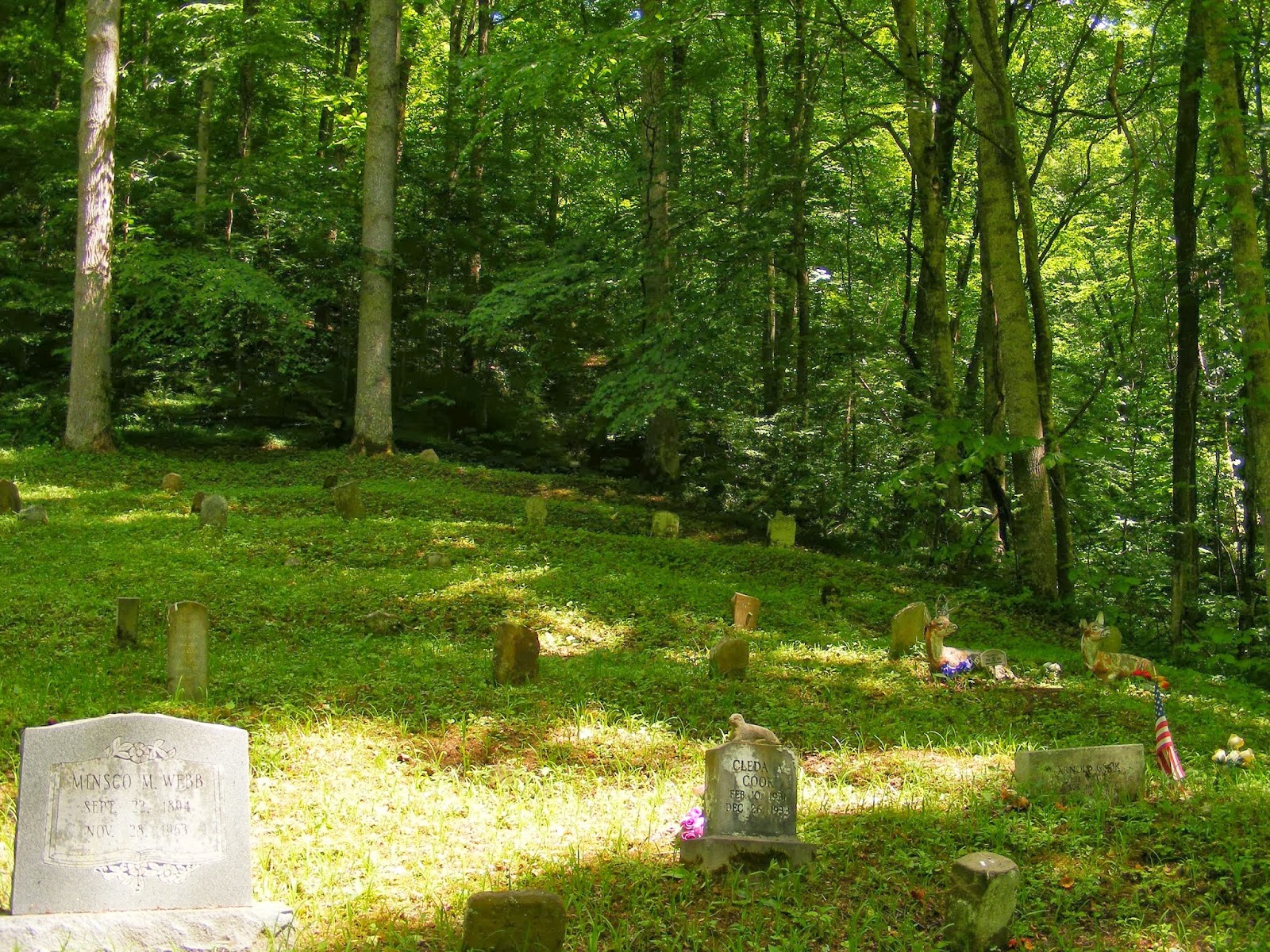 Social Shutter Community Lost Mountaintop Removal and Historic