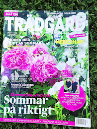 mitt växthus i allt om trädgård nr 9/2013