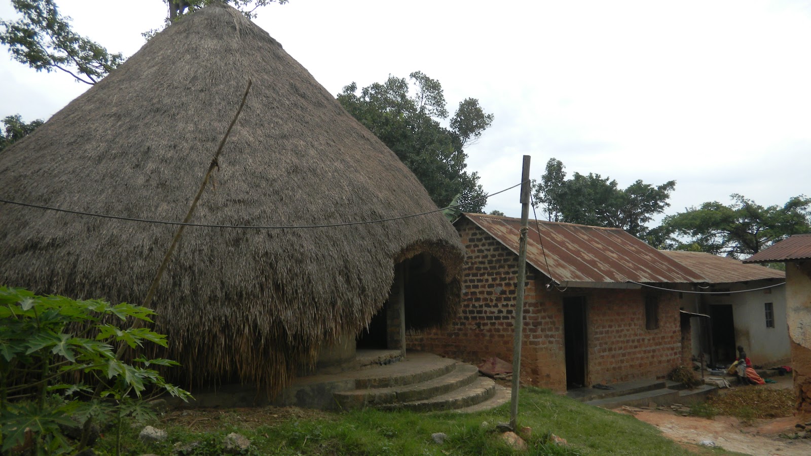 African Adventure Kings of Buganda