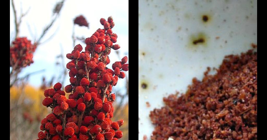 Glass Petal Smoke Sumac A Mediterranean Flavor Catalyst