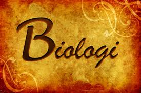 biologi ku: schizophyta