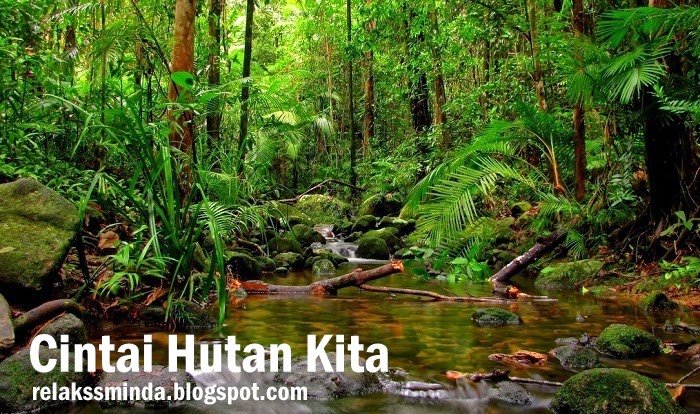 Cintai dan Kekalkan Hutan  Di Malaysia  Relaks Minda