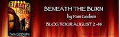 Beneath the Burn Tour