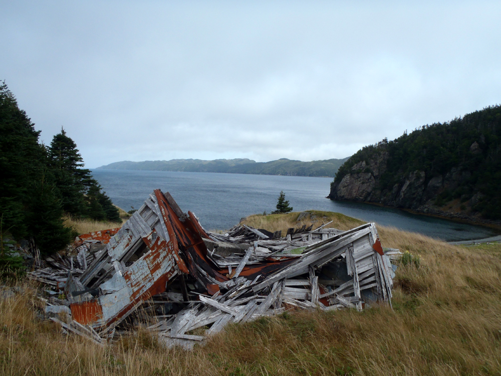 My Newfoundland Kayak Experience Placentia Bay 2015 A short paddle ends in St. Leonard's