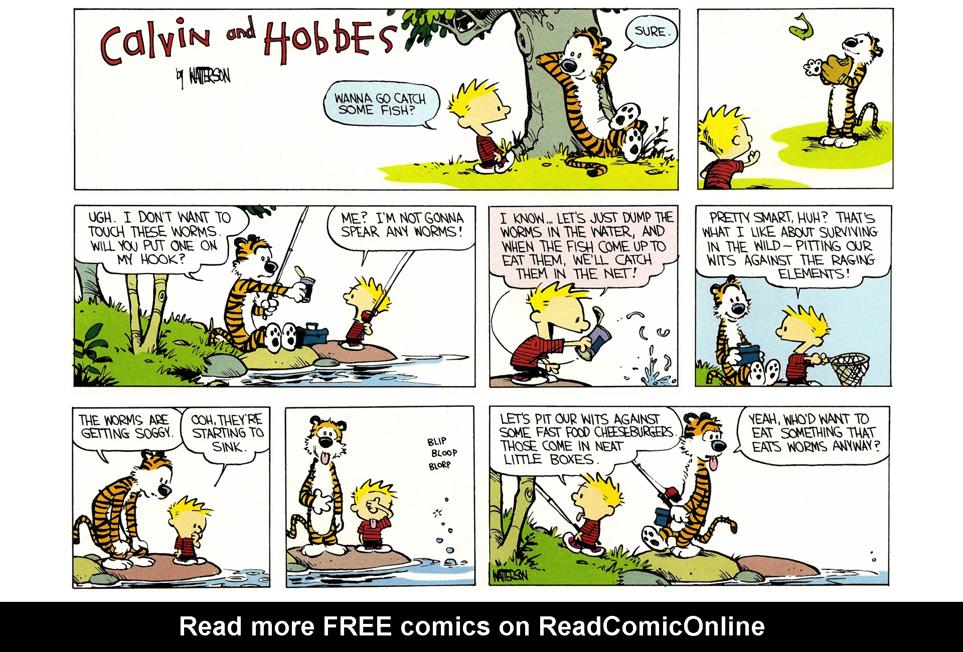 Read online Calvin and Hobbes comic -  Issue #1 - 105