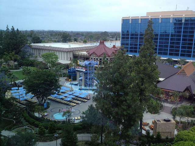 Disneyland Hotel pool area