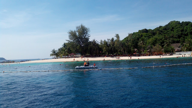 Aktiviti Menyelam di Pulau Redang, Terengganu