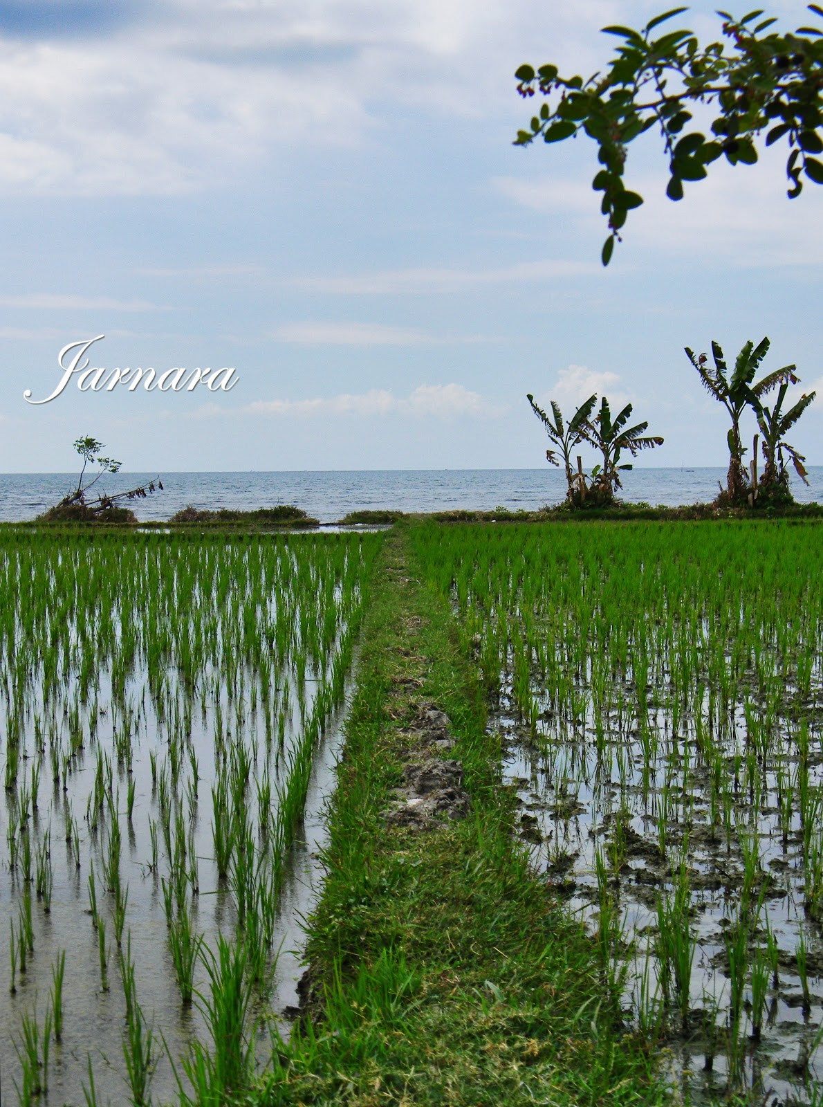 Travel With Jarnara The Perfect And Surprising Destination of