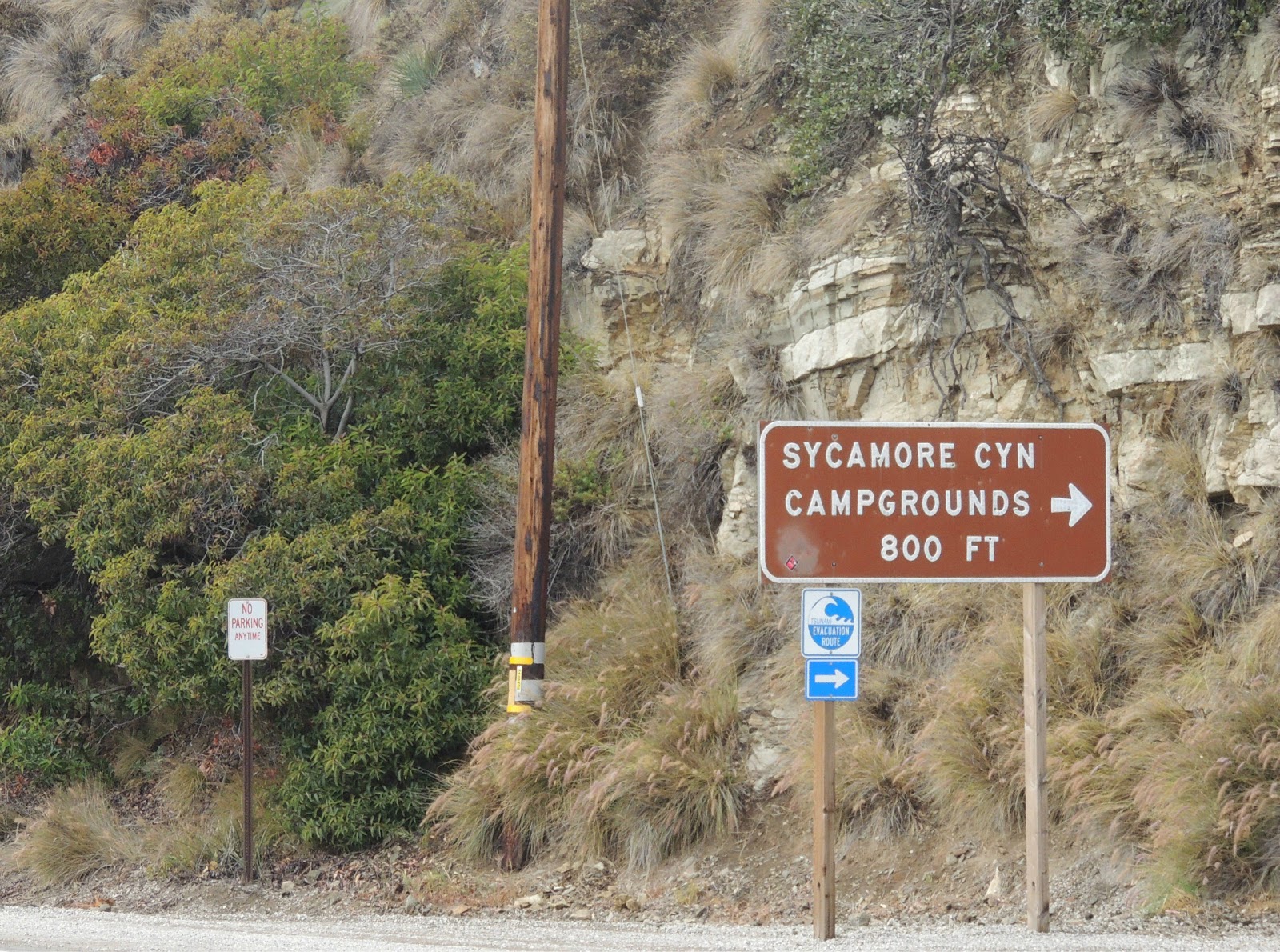 1000 Hikes in 1000 Days Day 890 Wood Canyon Vista Trail Backbone