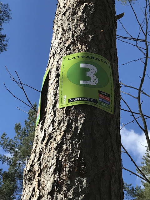 Uusi köysiseikkailupuisto avattiin Helsingin Paloheinään 13 Uusi köysiseikkailupuisto avattiin Helsingin Paloheinään 12