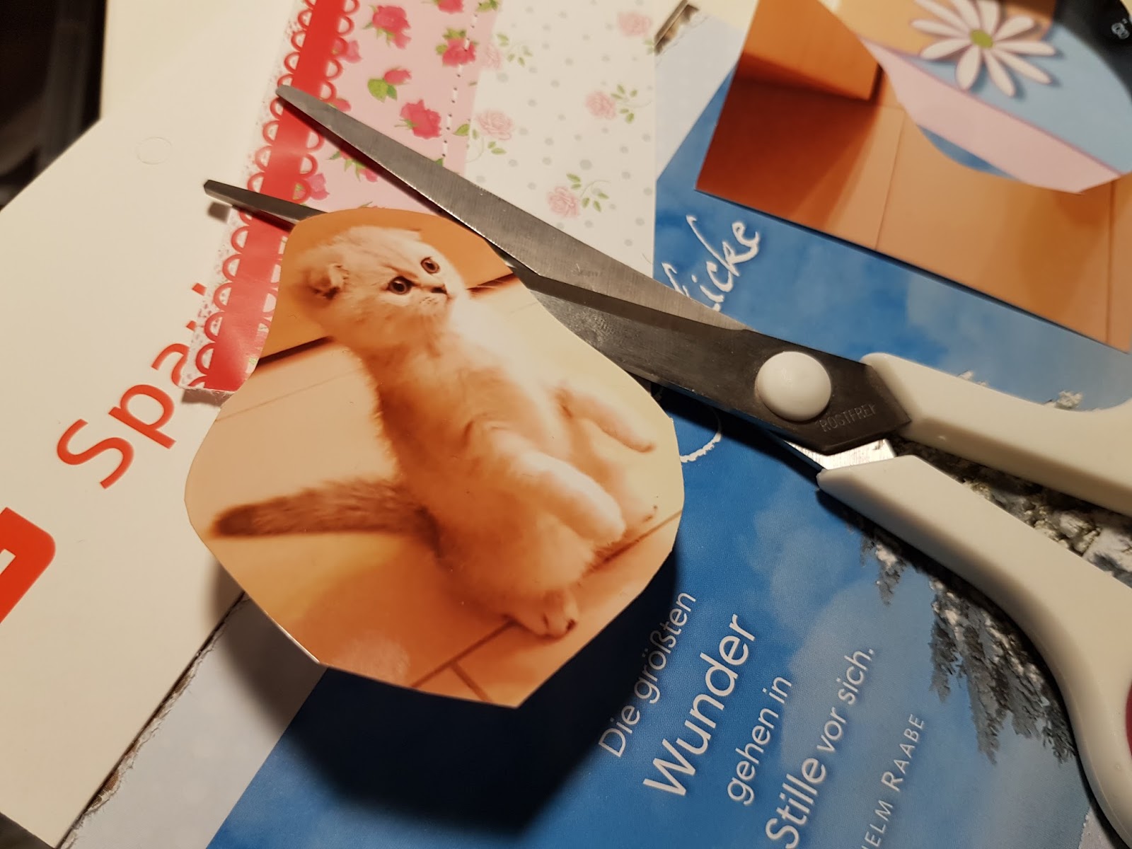 Die Besten Websites Fur Gratis Schnittmuster Green Bird Diy