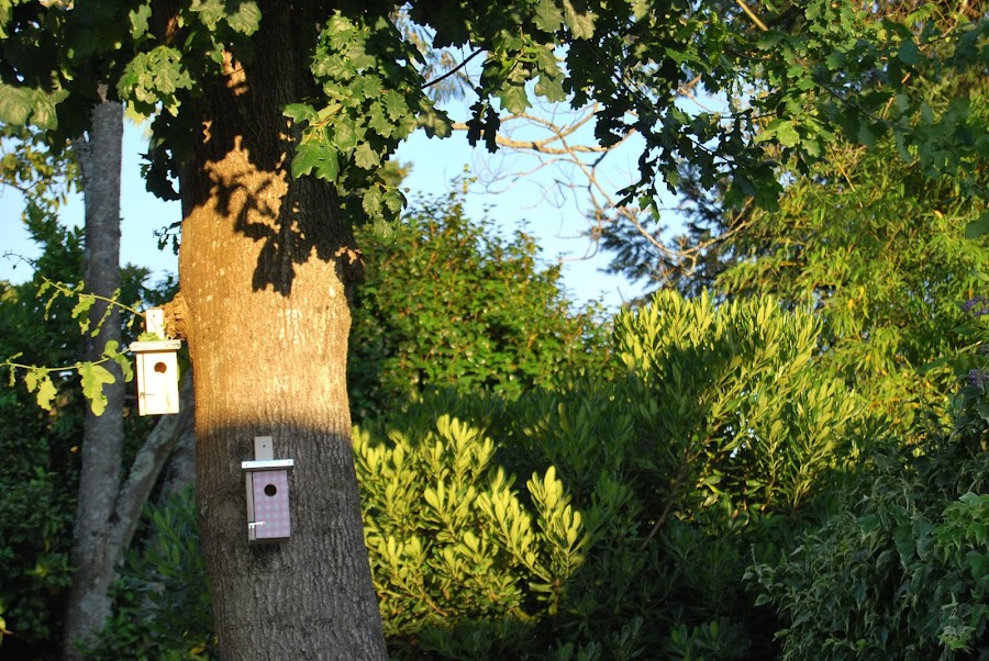 Razones por las que elegir Galicia como destino de vacaciones