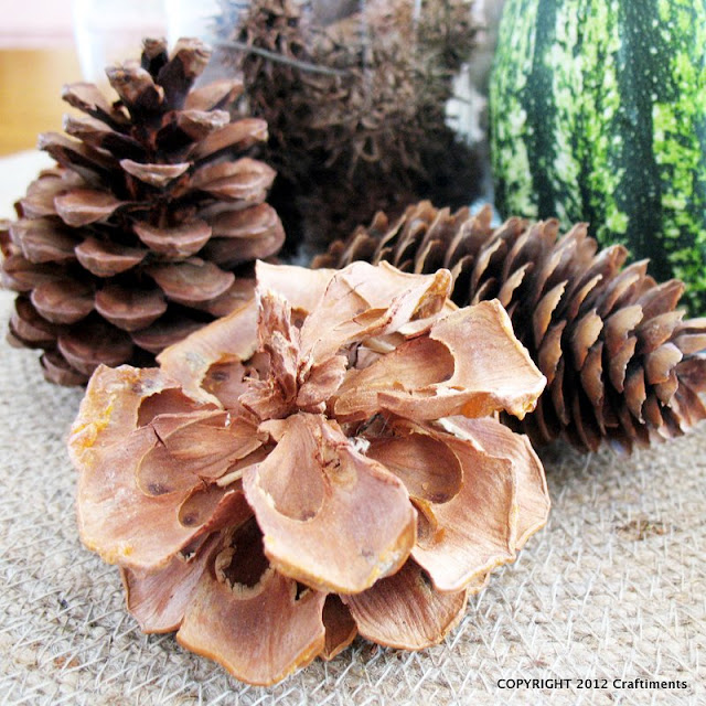 Craftiments:  Pinecones