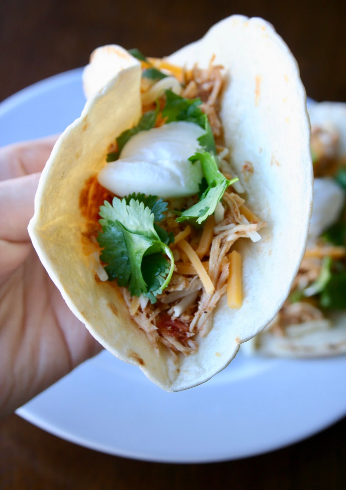 Pressure Cooker Salsa Chicken