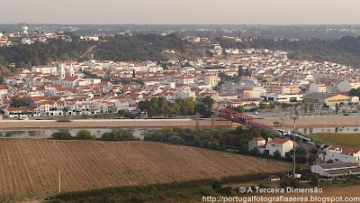 Coruche