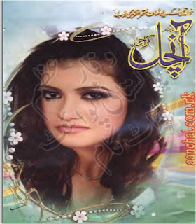 Aanchal Digest February 2013