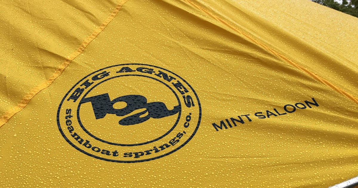 コーフル 1回使用 ビッグアグネス ミントサルーン TMINT17 | alamiah