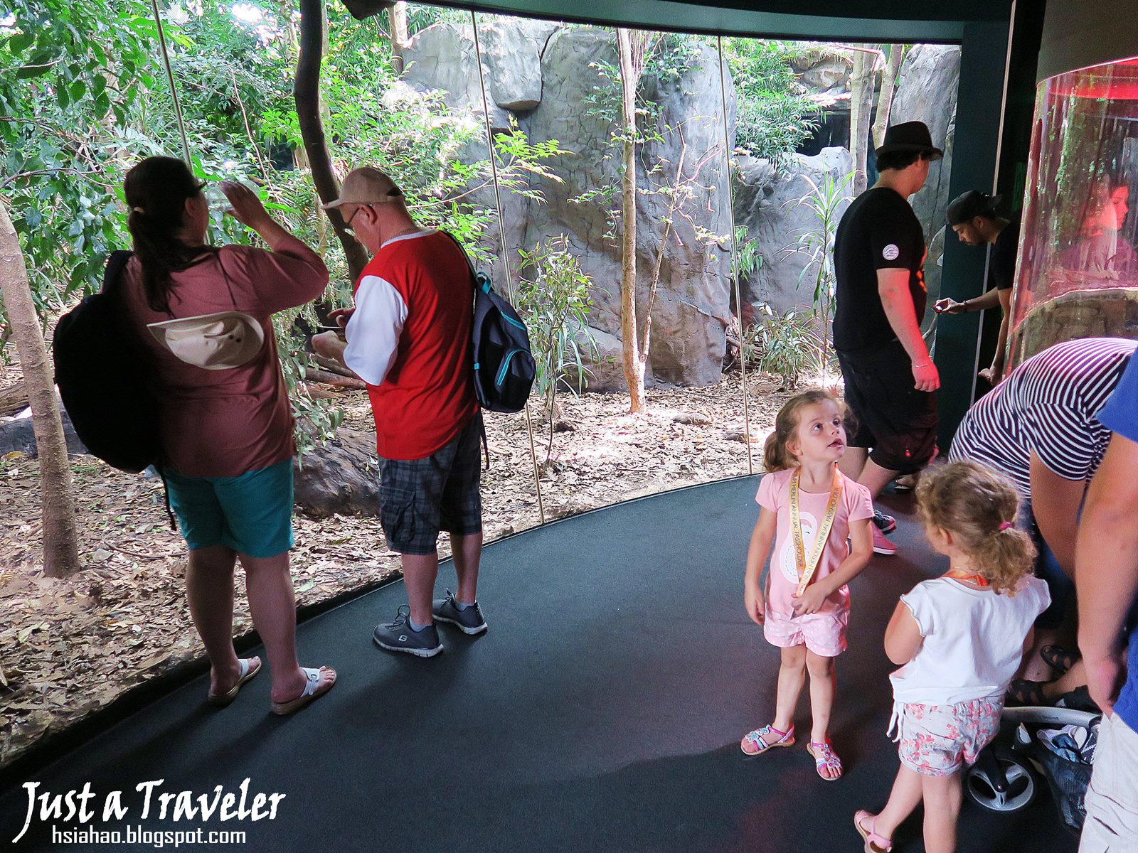 雪梨-景點-推薦-達令港-自由行-行程-旅遊-澳洲-雪梨野生動物園-WILD LIFE Sydney Zoo-Darling-Harbour-Tourist-Attraction-Travel