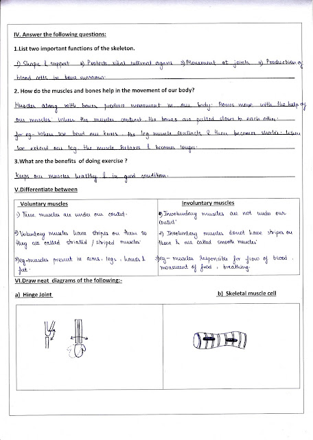 Science@DPSkamal: Grade 5 - Answer Key of all Revision Worksheets