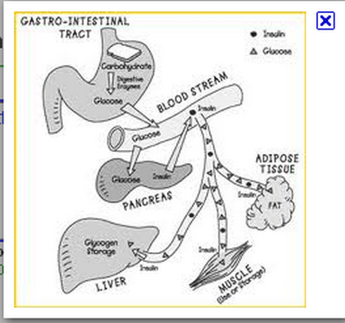 impotencia de los síntomas de la diabetes